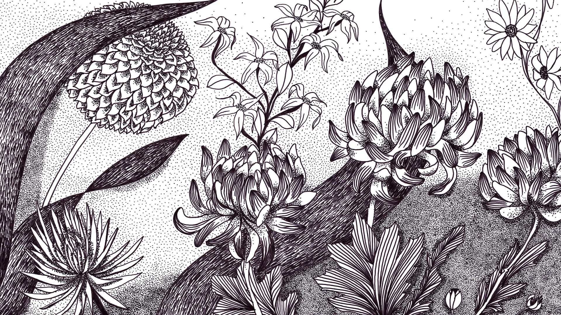 Pattern Floral 8